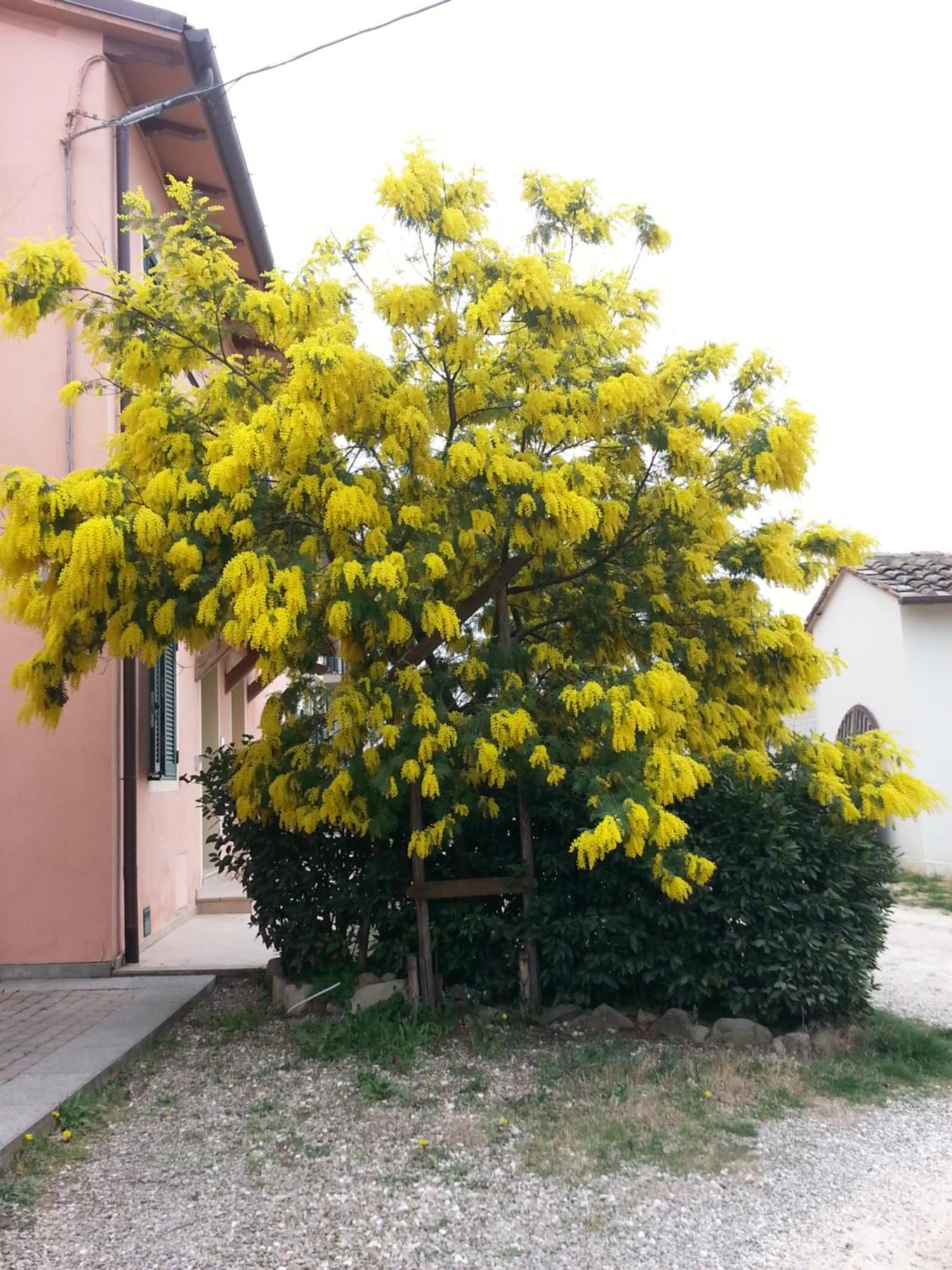Casa Vacanze Santa Maria Certaldo Bagian luar foto